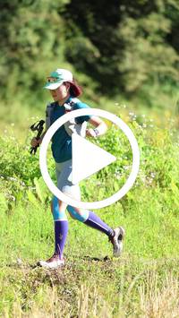 BIB:  <button type="button" onclick="openModal(26566898)" class="btn btn-primary btn-sm float-right" data-toggle="modal" data-target=".modal-high-quality">
                <i class="fa fa-download"></i> Download
                </button>